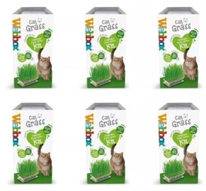 6 X Cat Grass Kit for Indoor Web box Grass Complete Easy Grow Plant Tote -120g - Picture 1 of 6