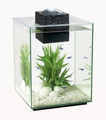 Fluval Chi 19l Aquarium With Led Light Lighting Latest Version Hagen Fish Tank • 85.85€