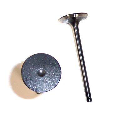 DNJ IV944 Engine Intake Valve For 92-05 Lexus Toyota GS300 IS300 SC300 Supra Foto 1 de 4