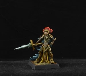 Guerriero Elfo Oscuro Dipinto da Reaper Miniatures Uomo D&D Personaggio Campione - Foto 1 di 5