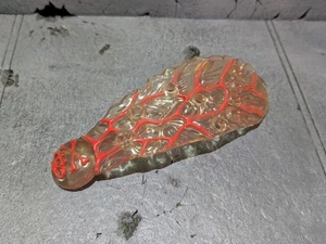 TMNT TEENAGE MUTANT NINJA TURTLES WING FOR BUZZ OFF KILLER BEE EX CONDITION  - Picture 1 of 1