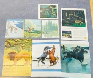 Lote de 8 ilustraciones de naturaleza y otros animales de sementales de Stan Galli - Imagen 1 de 9