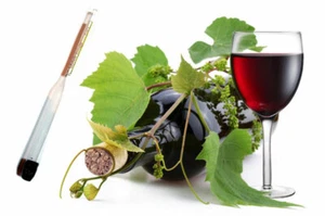 0-25% Sugar 0-12% Alcohol Sugar Meter Vinometer WINE VINE BEER MASH PROOF TESTER - Picture 1 of 6