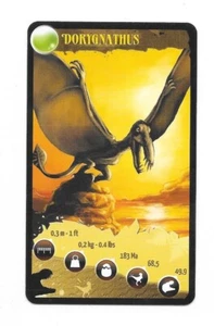 Carte Bioviva ! - Dorygnathus - Picture 1 of 2