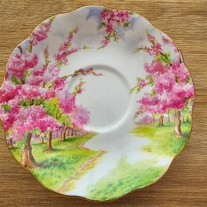 Royal Albert Blossom Time Vintage Tea Cup Saucer - Picture 1 of 2