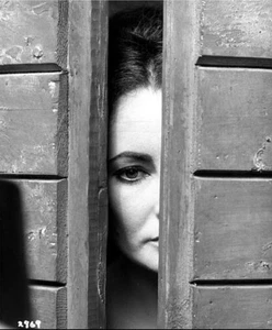 Elizabeth Taylor 8x10 giclee photo The Taming Of The Shrew - Picture 1 of 1