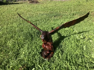 VINTAGE Big HAND CARVED WOODEN EAGLE Wings are removable USSR Ukraine - Picture 1 of 19
