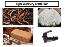Tiger Wormery Starter Kit