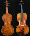 Master Violin Guarneri Violin 1-PC Back No. W-104