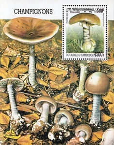 Cambogia - 2000 - Funghi - BF nuovo (MNH) - Picture 1 of 1