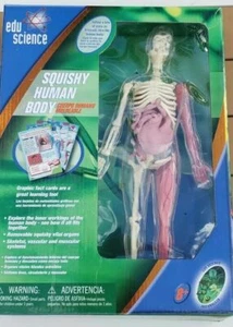 New EDU Science EDUScience Lab Squishy Human Skeleton Body Puzzle - Picture 1 of 2