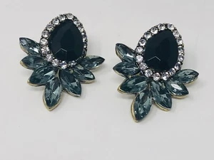 Black Rhinestone Earrings - Picture 1 of 5