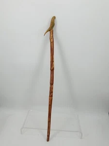 Vintage Antique Carved Parrot Natural Wood Swagger Walking Stick Cane 39 in - Picture 1 of 18