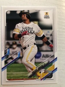 2021 Topps Japanese NPB League Yurisbel Gracial Hawks 10