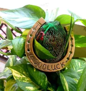 Schönes 4,5" Messing Hufeisen Viel Glück Naal Wohndeko hängend glückverheißendes Geschenk - Bild 1 von 5