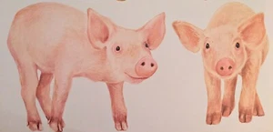 Transferencia de frotamiento seco de lechones tatuajes - Imagen 1 de 1