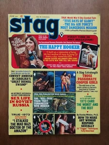 Vintage Stag Pulp Adventure Men's Magazine June 1973 Great Condition - Picture 1 of 2