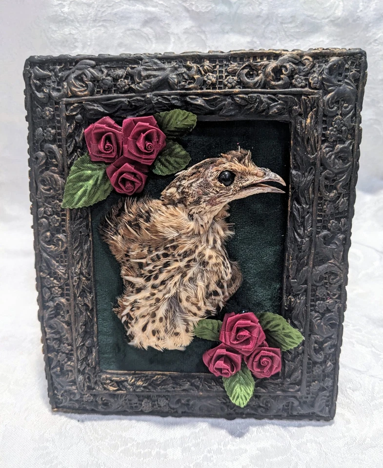 Настоящий перепел на темно-зеленый бархат в переработанной винтажной раме с шелковыми розами - Изображение 1 из 4
