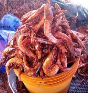 Red Large Prawns Shrimp Dried OPoro Crayfish Seafood Salted High Quality / 1 Lbs - Picture 1 of 2