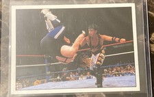 1995 Panini WWF 1-2-3 Kid Wrestling Sticker Card #149 VERY RARE WWE Italian