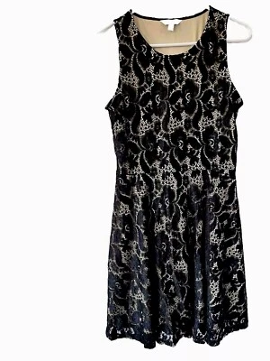 Encantador vestido para mujer Charlie negro de encaje tostado forrado talla M usado Foto 1 de 4