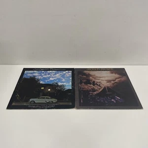 Lot Of 2 Rock Vinyl Records Jackson Browne Running on Empty Late For The Sky - Imagen 1 de 6