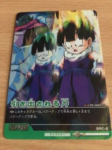 Carte Dragon Ball Z DBZ Data Carddass 2 Part PE #PE-025-II Prisme MADE IN JAPAN - Imagen 1 de 1