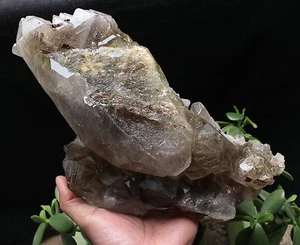 8.2lb New Find NATURAL Clear Golden RUTILATED QUARTZ Crystal Cluster Specimen - Picture 1 of 11