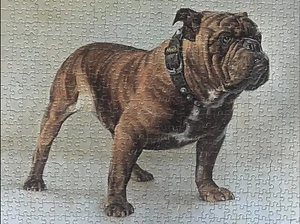 Vintage HTF Mack Truck Bulldog Csatari Portrait Puzzle 500+ Pieces COMPLETE EUC - Picture 1 of 11