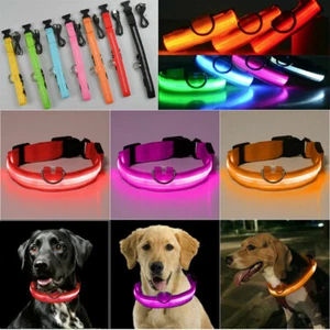 USB Rechargeable LED Dog Pet Adjustable Collar Flashing Luminous Safety Light ED - Imagen 1 de 19