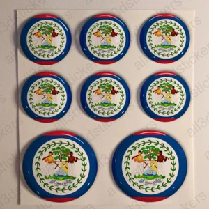 Belize Air Force Adhesive Roundel Cockade 3D Stickers Flag Resin Domed - Picture 1 of 1