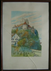 ::PAUL E. IRMLER SCHLOSS MEERSBURG AM BODENSEE NATUR BERG WALD ANTIK SIGNIERT - Picture 1 of 9