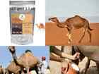 Camel Milk Powder, Pure High Protein & Calcium Nxtgen Ayurveda RAW Strong 100 GM
