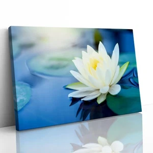 White Lotus Flower in Pond Canvas Framed Print Picture Wall Art - Picture 1 of 29
