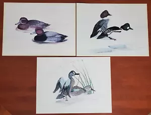 Impresiones de pato surtidas por William P Suitor, ¡tu elección! - Imagen 1 de 12