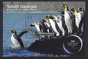 SOUTH GEORGIA 2023 FROZEN PLANET MINIATURE SHEET FINE USED - Picture 1 of 1