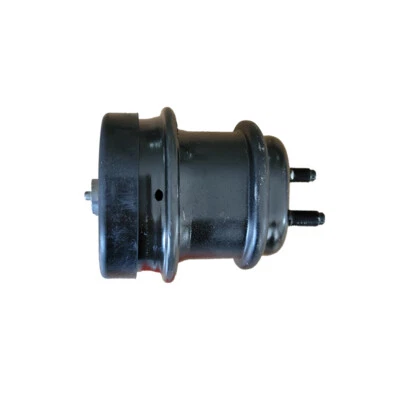 S2958 para Lexus GS300 2006 3,0 L AWD/07-20 GS350 3,5 L AWD montaje de motor delantero L/R Foto 1 de 2