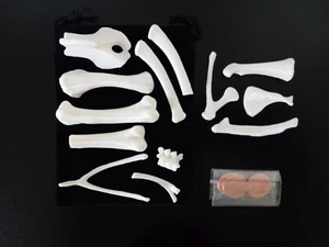 Knochenwerfen/Gießen komplett 13 Knochen Set - weiß, Voodoo Hoodoo Osteomantie - Bild 1 von 4