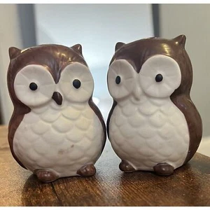 Whimsical & Vintage 3 in. Fall Ceramic Owl Salt & Pepper Shakers, Kitchen Decor - Picture 1 of 7