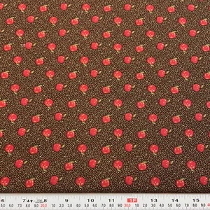 Quilt Club Collection 2004 Thimbleberries RJR Fabrics Cotton Remnant 13" x 44" - Picture 1 of 2