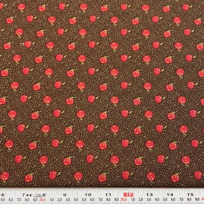 Quilt Club Collection 2004 Thimbleberries RJR Fabrics Cotton Remnant 13" x 44" - Image 1 of 2