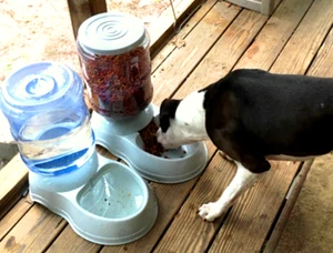 Hundefutterautomat mit Wasserspender mittel außen Trockenfutter Wasser Öko Station Katze Haustier - Bild 1 von 3