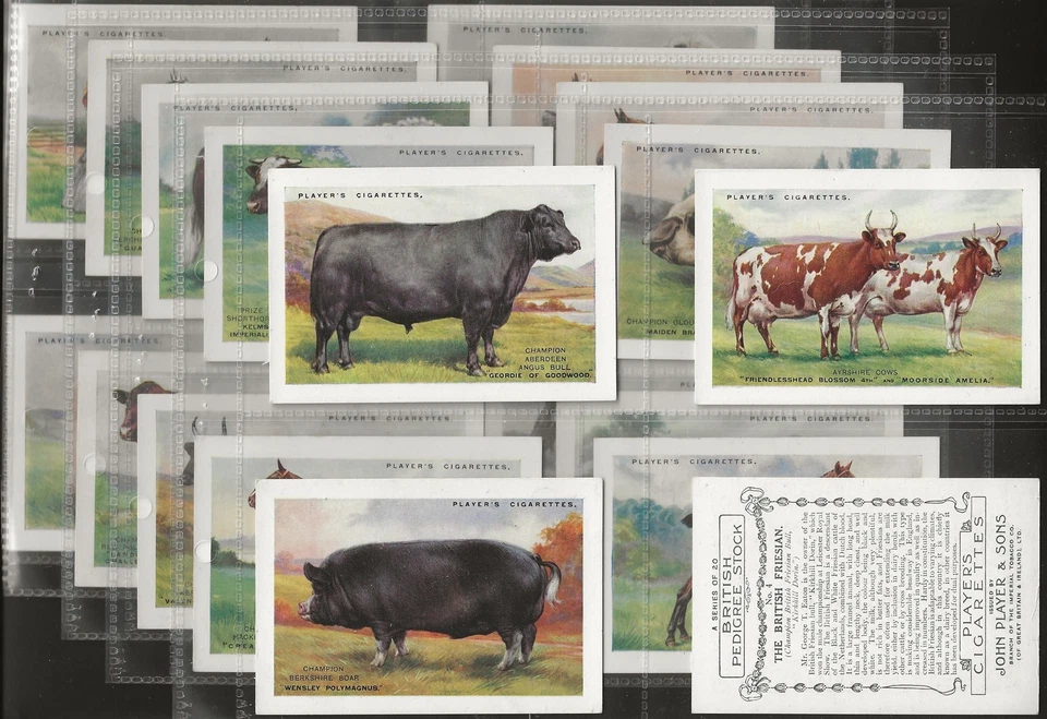 PLAYERS-FULL SET- BRITISH PEDIGREE STOCK 1925 (X20 CARDS) EXCELLENT+++ - Image 1 of 1