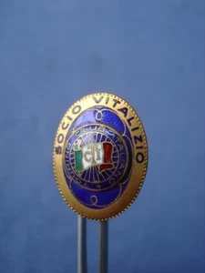 TOURING CLUB ITALIANO-SOCIO VITALIZIO-DISTINTIVO A SPILLA-METALLO E SMALTO - Picture 1 of 1