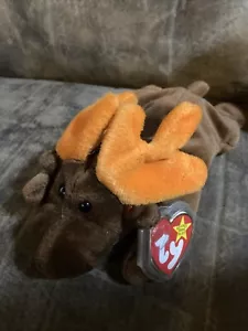Ty Beanie Baby Chocolate the Moose DOB April 27, 1993 MWMT Free Shipping - Picture 1 of 1