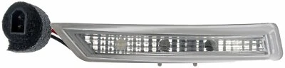 Luz de señal de giro del espejo retrovisor derecho Dorman para Dodge Grand Caravan 2008-2016 Foto 1 de 3