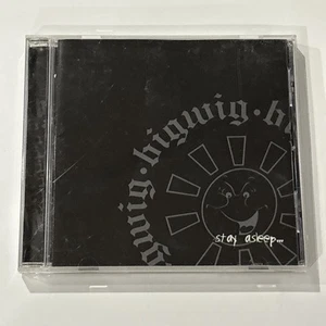 BIGWIG - Stay Asleep (CD, 1999) Hardcore Punk OOP CD - Picture 1 of 5