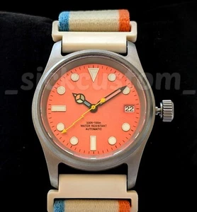 Colorful Solid TITANIUM 36mm Full Automatic Diver Fun SAPPHIRE Mod NH35A Great! - Picture 1 of 8