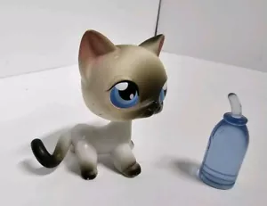 Authentic Hasbro Littlest Pet Shop LPS #5 Siamese Shorthair Cat Blue Eyes - Picture 1 of 4