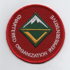Venture Chartered Org. Representative Position Patch, "BSA 2010" Back, Mint! - Picture 1 of 1